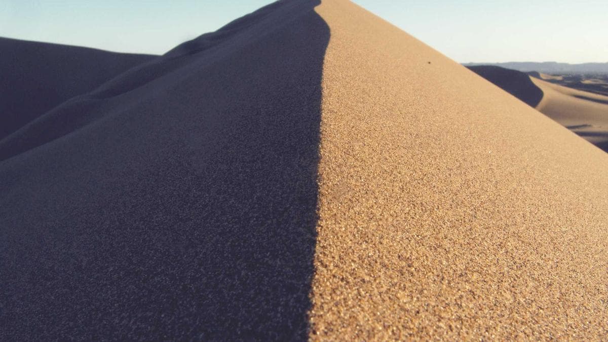 10 Questions to Ask Your Farmer Before You Buy